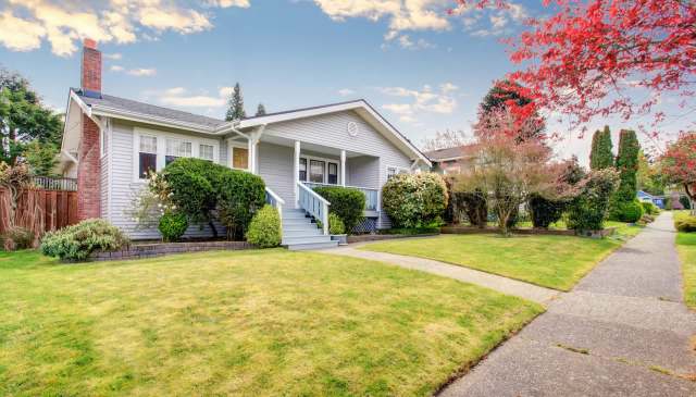 One Redditor shared footage of a bandicoot, a protected species, digging up their lawn.