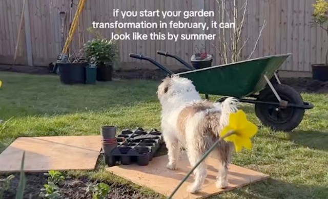 Allie shared some garden inspiration to encourage her followers to build their own.