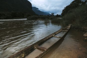 Thai authorities recently dealt a major blow to the illegal ivory trade, seizing 169 kilograms — roughly 370 pounds — of smuggled ivory originating from Laos.