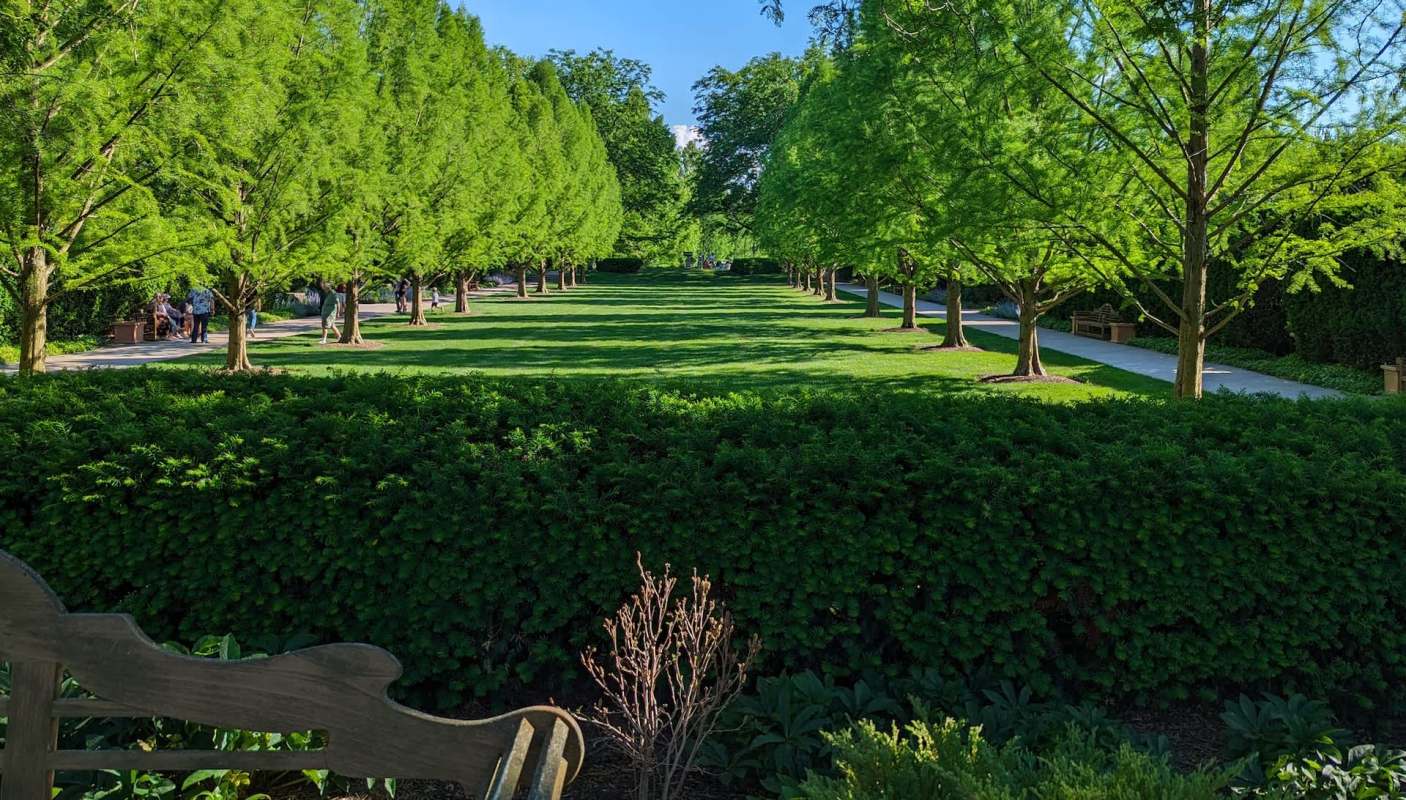 Bobcats are elusive, solitary predators that need large areas of connected forest, wetlands, and clean water to thrive.