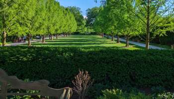 Bobcats are elusive, solitary predators that need large areas of connected forest, wetlands, and clean water to thrive.