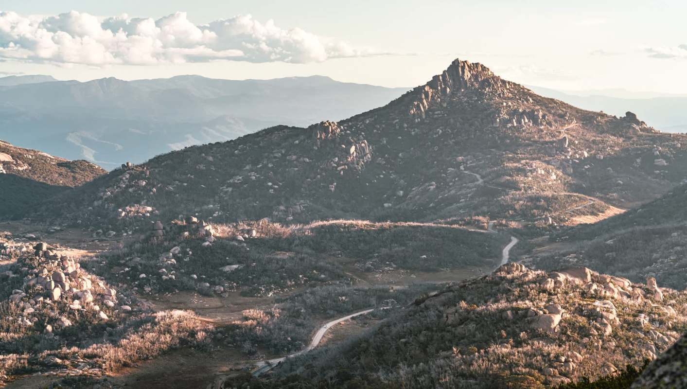 Scientists have recently decided to track an unexpected creature — the bogong moth.