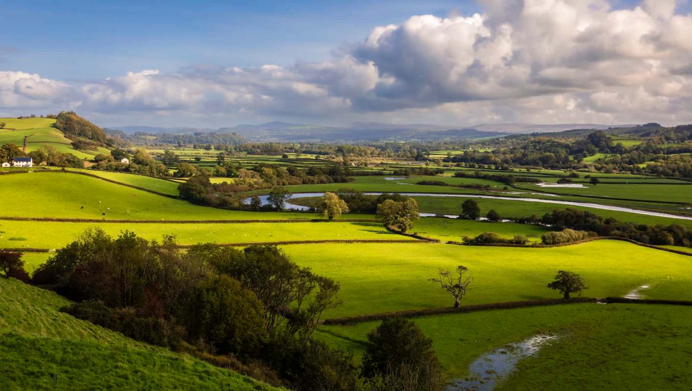 One butterfly species, thought to have disappeared over the last decade, has made an incredible recovery in southwest Wales.