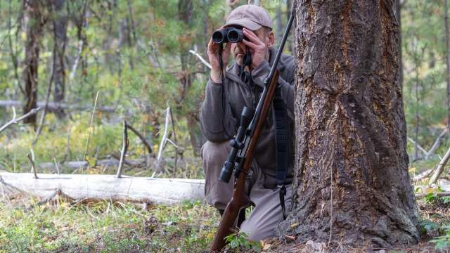 The U.K. government is introducing a monthslong ban on the hunting of brown hares during the species' breeding season.