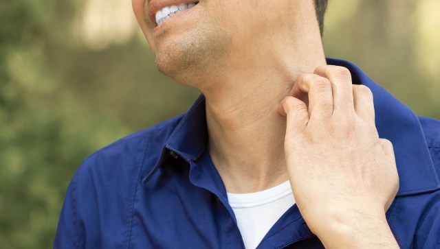 A Redditor took to the r/Austin subreddit to ask for help after their neighbor's neglected pool became ground zero for a mosquito outbreak.