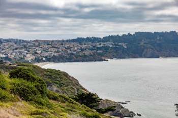 The burrowing owl as begun to make a spectacular comeback thanks to conservation efforts.