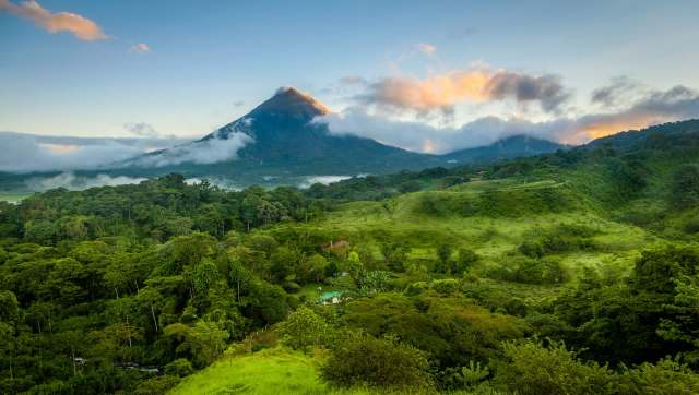One Costa Rican family has turned a former cattle pasture into a vibrant rainforest through butterfly-led rewilding.