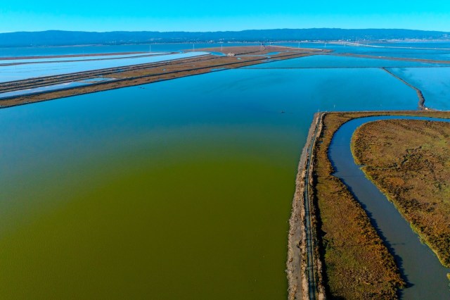 What was once one of the largest lakes in the U.S. has returned after centuries. Here's why that may be a good thing.