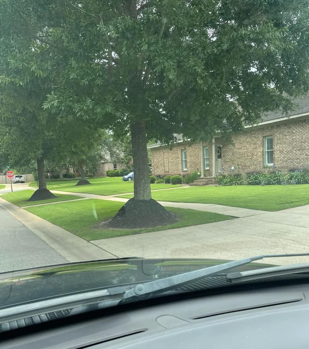 Sharing garden advice with neighbors can be a difficult balancing act.