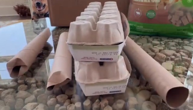 One TikTok user revealed how to make a trash puzzle box for dogs using materials you already have at home.