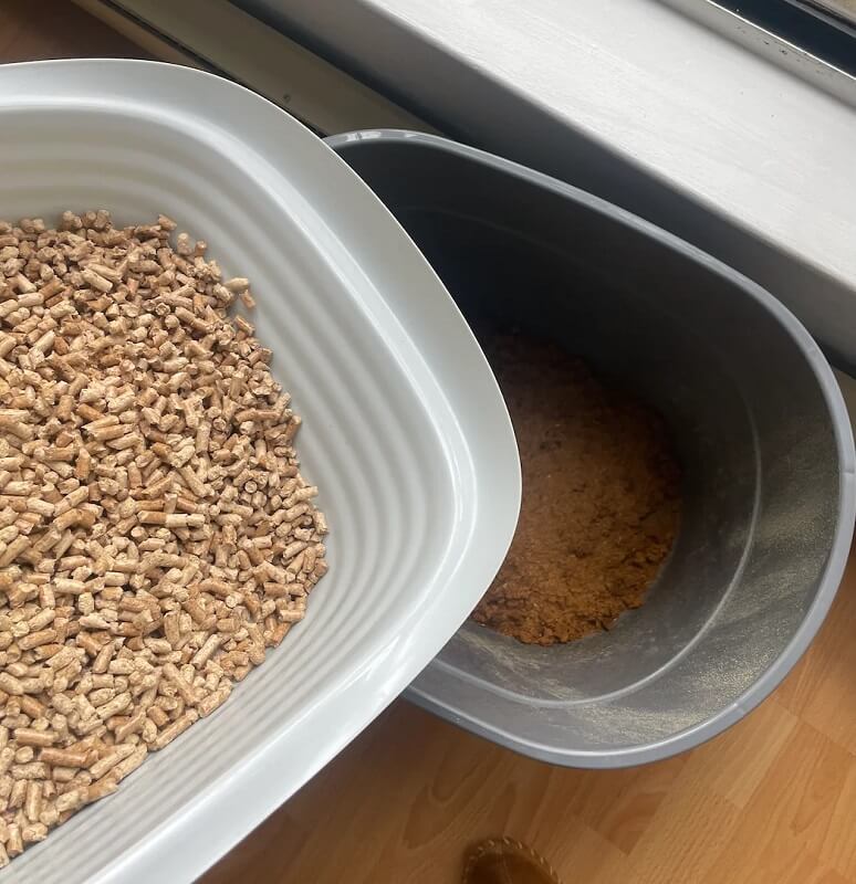 One Reddit user shared their cost-effective and eco-friendly way of using pine pellets as cat litter.