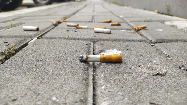 Discarded cigarette butts also release heavy metals, nicotine, and other toxins into the environment.