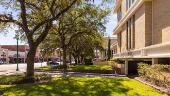 A Texas real estate developer clear-cut a swath of trees and is getting major pushback from the community.