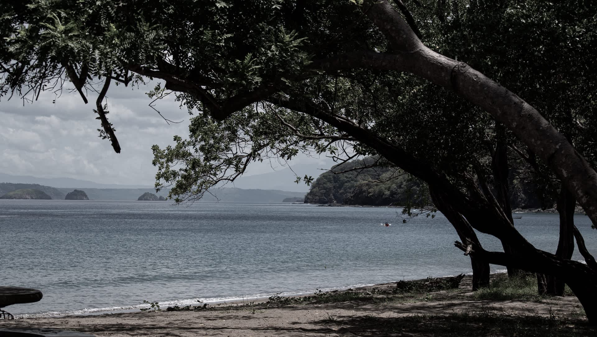 Experts issue warning as destructive phenomenon threatens coastline: 'Directly affecting infrastructure'