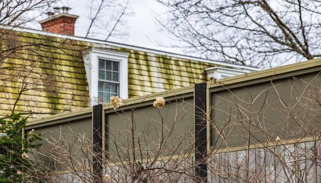 A new homeowner sought advice on how to confront their neighbor after their security camera caught them destroying a bush.