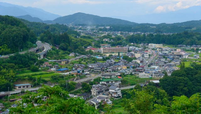 One city in Japan has enraged citizens by killing bears using controversial wildlife management techniques.