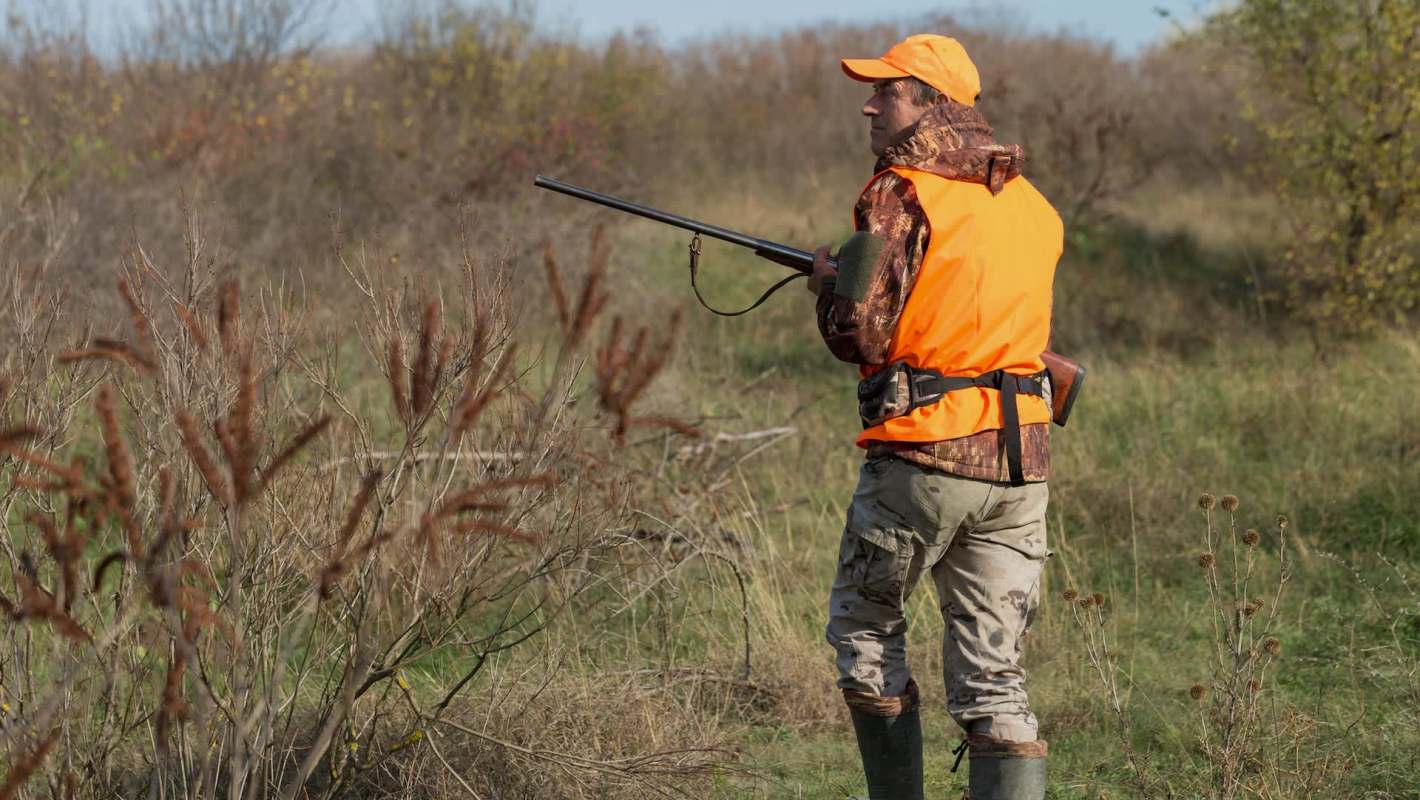 Costa Rica has placed a permanent nationwide ban on all sport and recreational hunting of wild animals, a policy shift that can help protect wildlife and biodiversity.