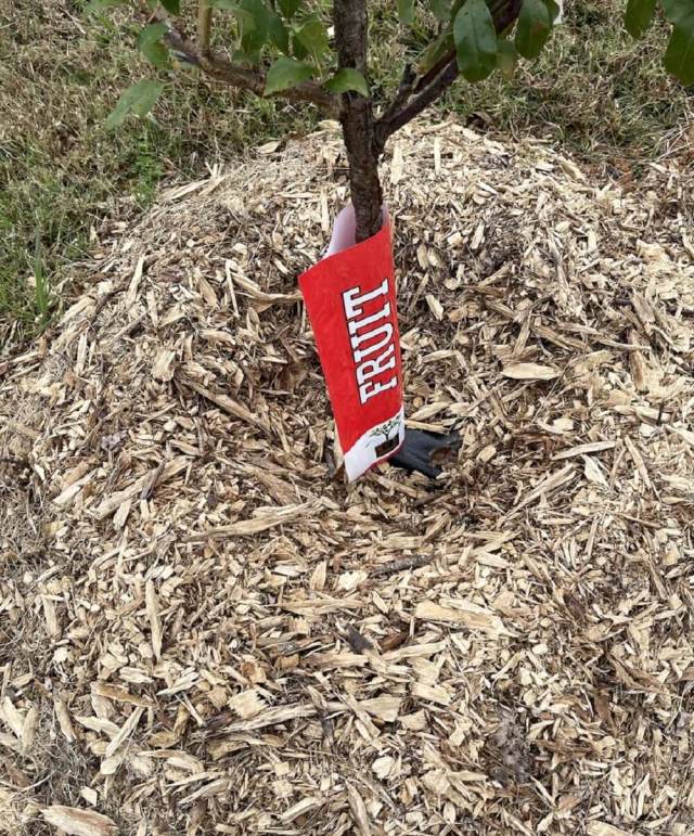 One gardener received stark warnings about their overly mulched tree and their decision to use landscaping fabric.