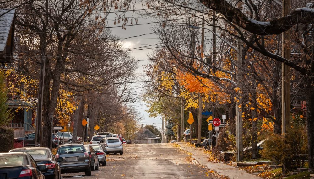 Officials in Ottawa are warning residents about the dangers of feeding coyotes after a daytime sighting in a suburban area.