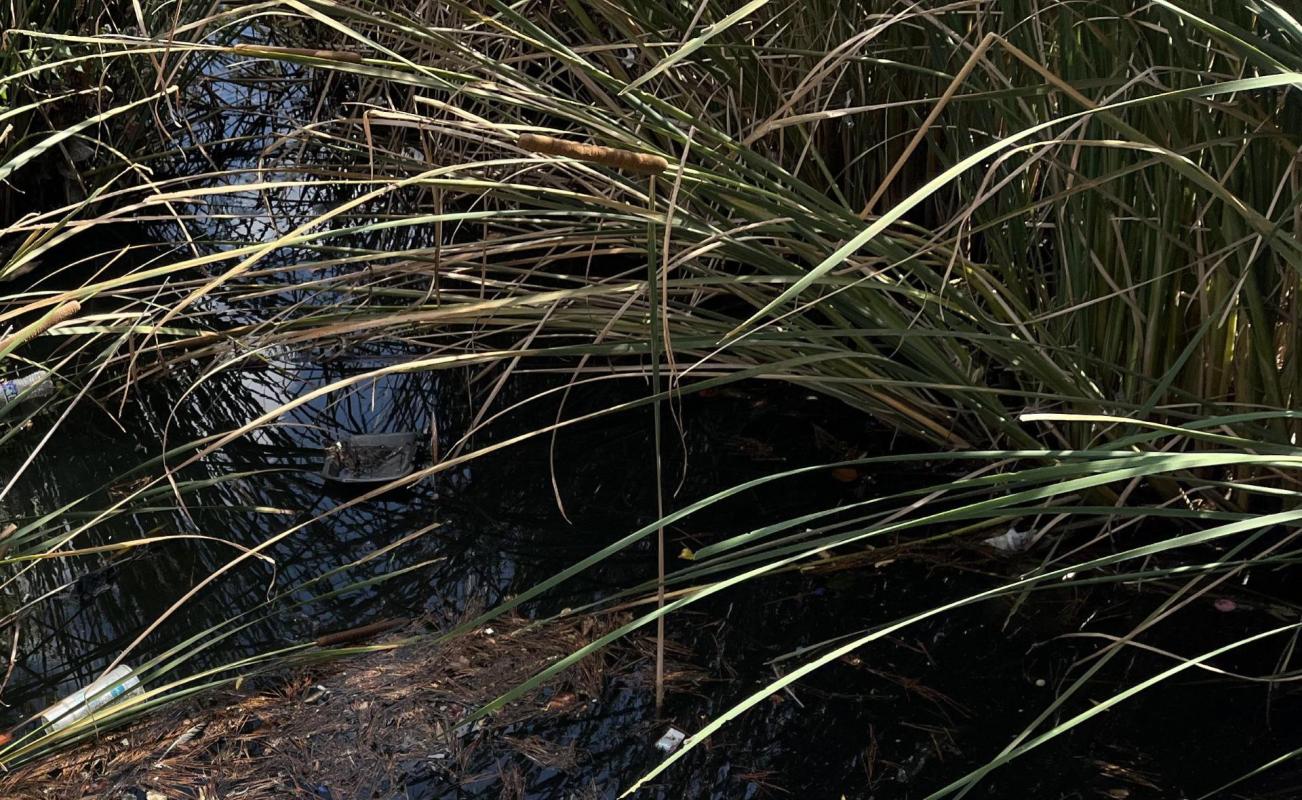 One Redditor shared a photo of a polluted Norman, Oklahoma, waterway full of fast-food cups.