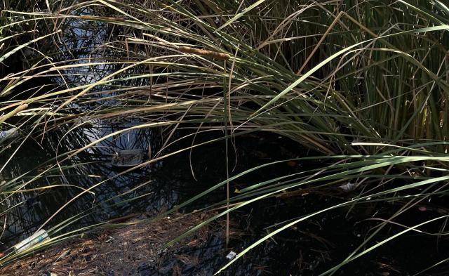 One Redditor shared a photo of a polluted Norman, Oklahoma, waterway full of fast-food cups.