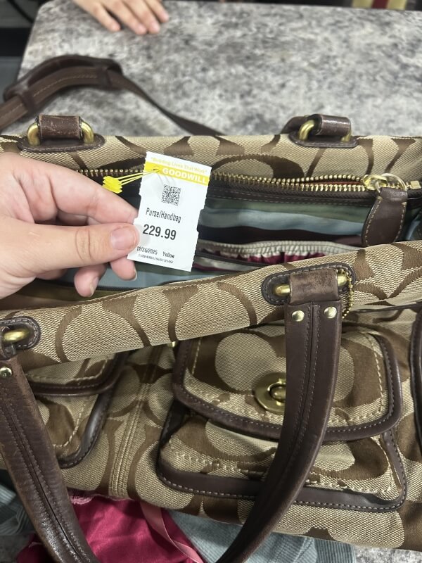 When a person found a Coach bag with an outrageous price tag at Goodwill, they took to Reddit to express their displeasure.