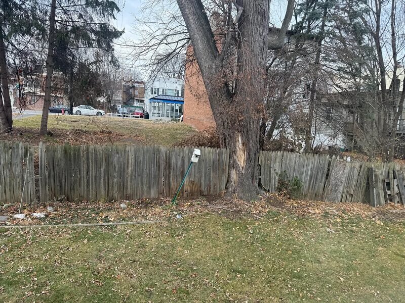 Redditors supported a homeowner battling a developer over an 80-year-old silver maple tree in a heated tree dispute.