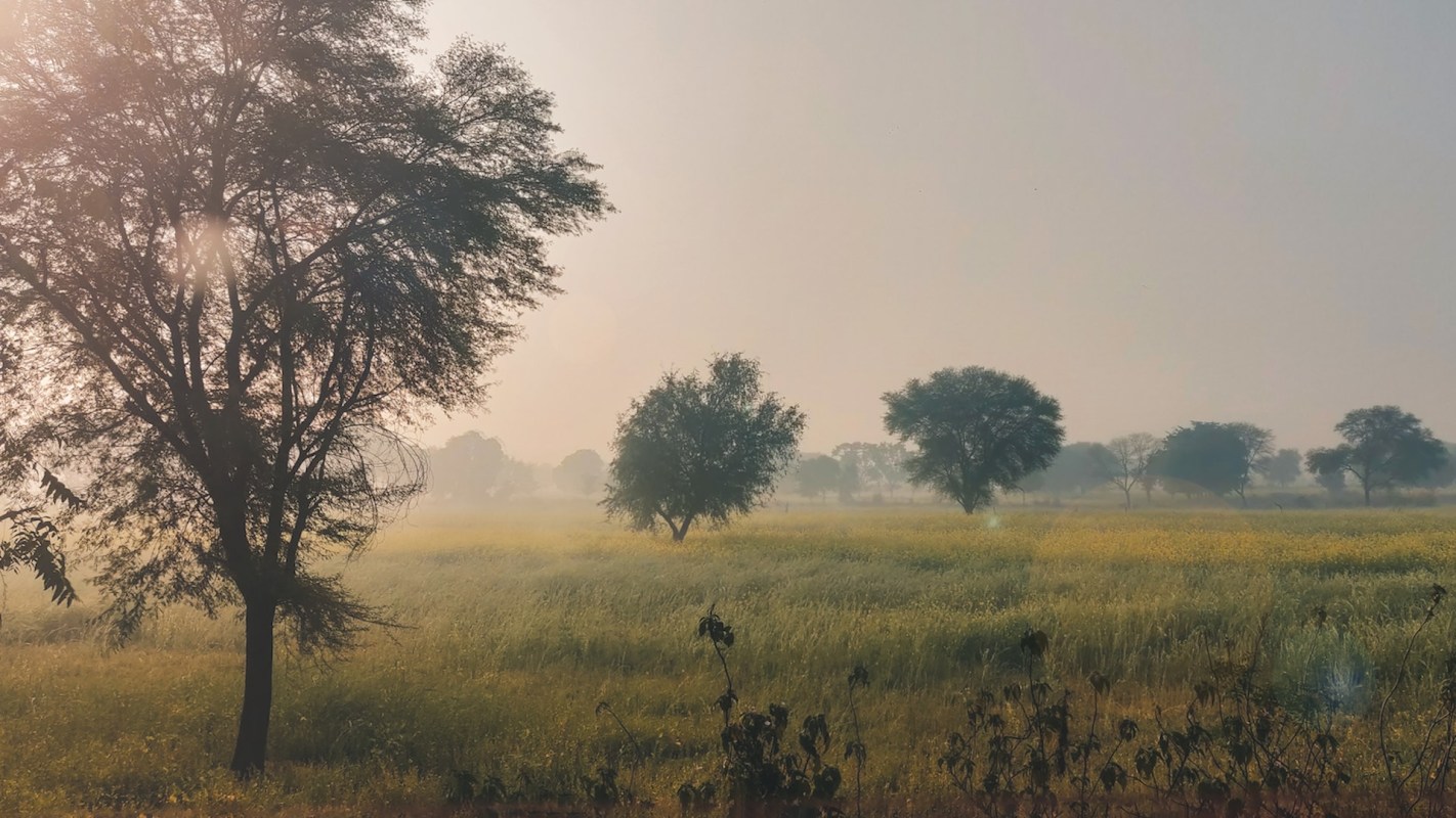 The Khivni Wildlife Sanctuary had a major milestone with the recent sightings of wild dogs' (dholes') and a tigress' with four cubs.