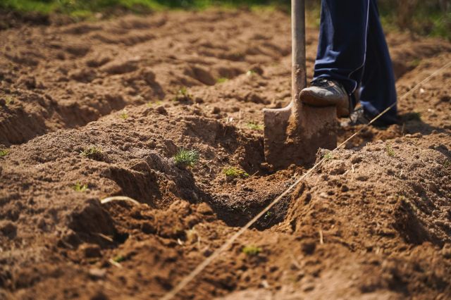 Redditors were blown away by a giant beet. One even joked that it looks like it came from an alien planet.
