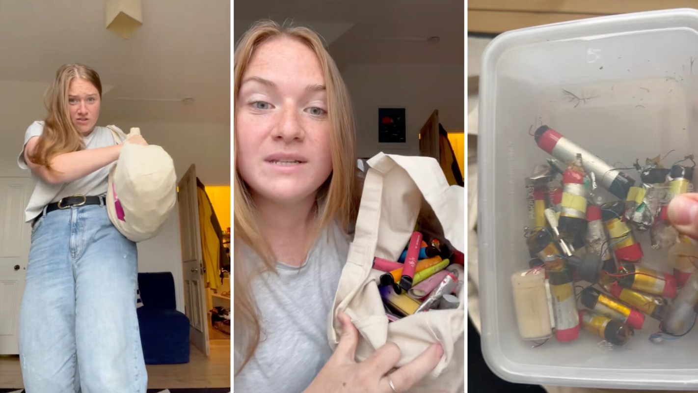 One viral TikTok shows how much waste one person collected from disposable vapes.