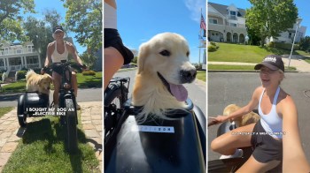 One golden retriever owner shared their adorable new hobby: taking trips to the beach with in e-bike fitted for their furry friend.