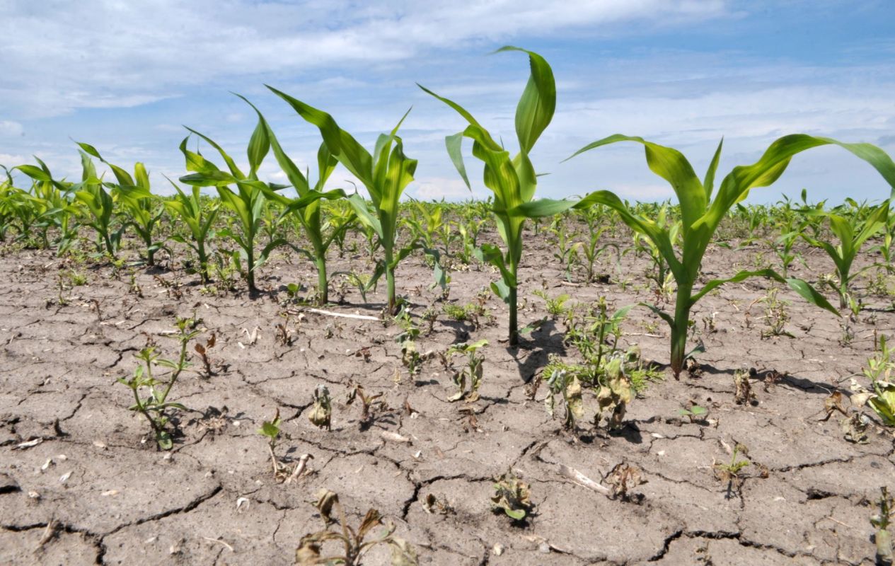 According to FarmWeekNow, Illinois farmers are deeply concerned about new data showing drought conditions across the state.