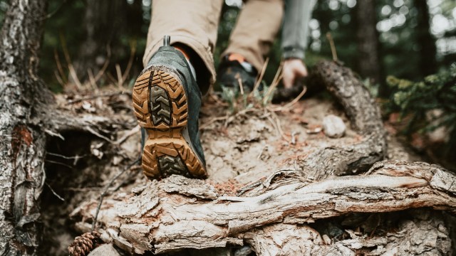 In Malaysia, one travel content creator was shocked to find an entirely intact plastic bag in a pile of elephant's dung.