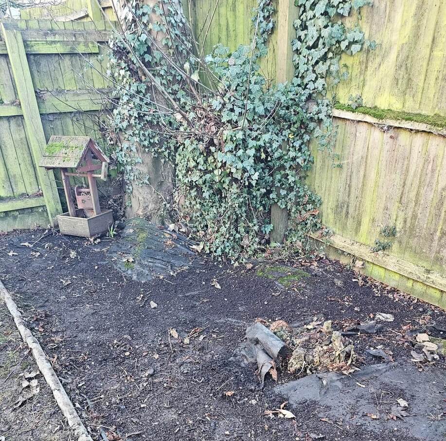 One confused gardener asked Reddit if landscaping fabric is necessary. The overwhelming response was no.