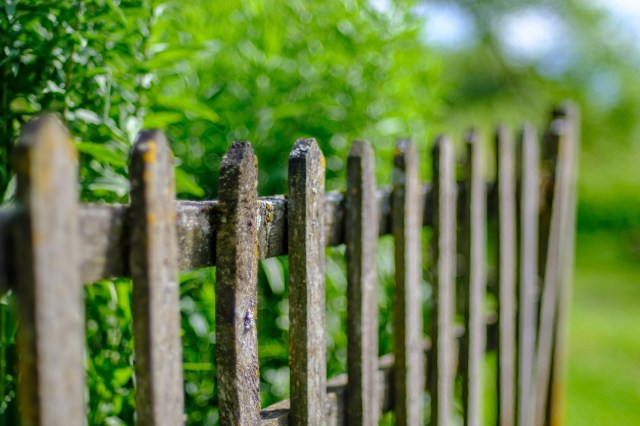 A neighbor's decision to give up on their yard frustrated a homeowner whose flourishing natural yard provided a great contrast.