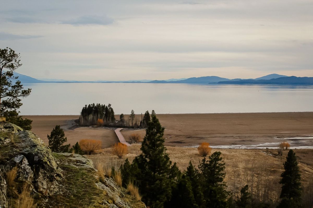 Roughly a dozen new instances of invasive aquatic species have been catalogued in Montana by volunteers and biologists in 2025.