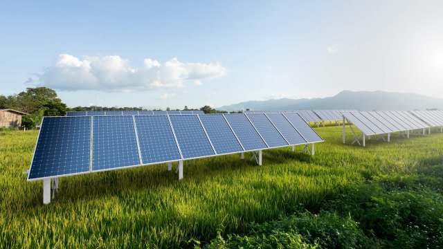 A team at Cornell is analyzing endangered bird populations to determine the best placement for floating solar panels.