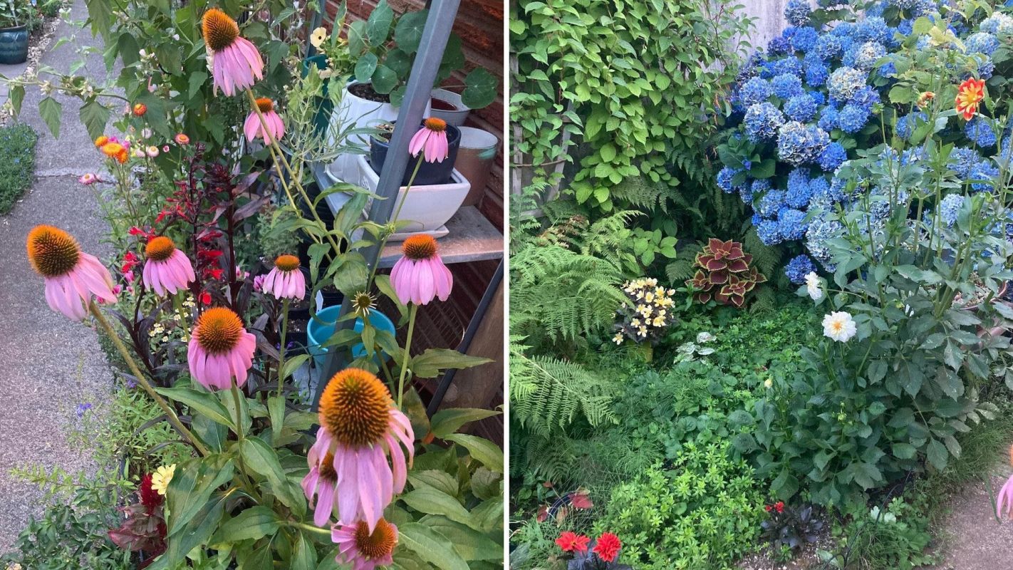 One person sparked outrage online after sharing photos of a garden under threat of removal — the landlord has decided to replace it with grass.