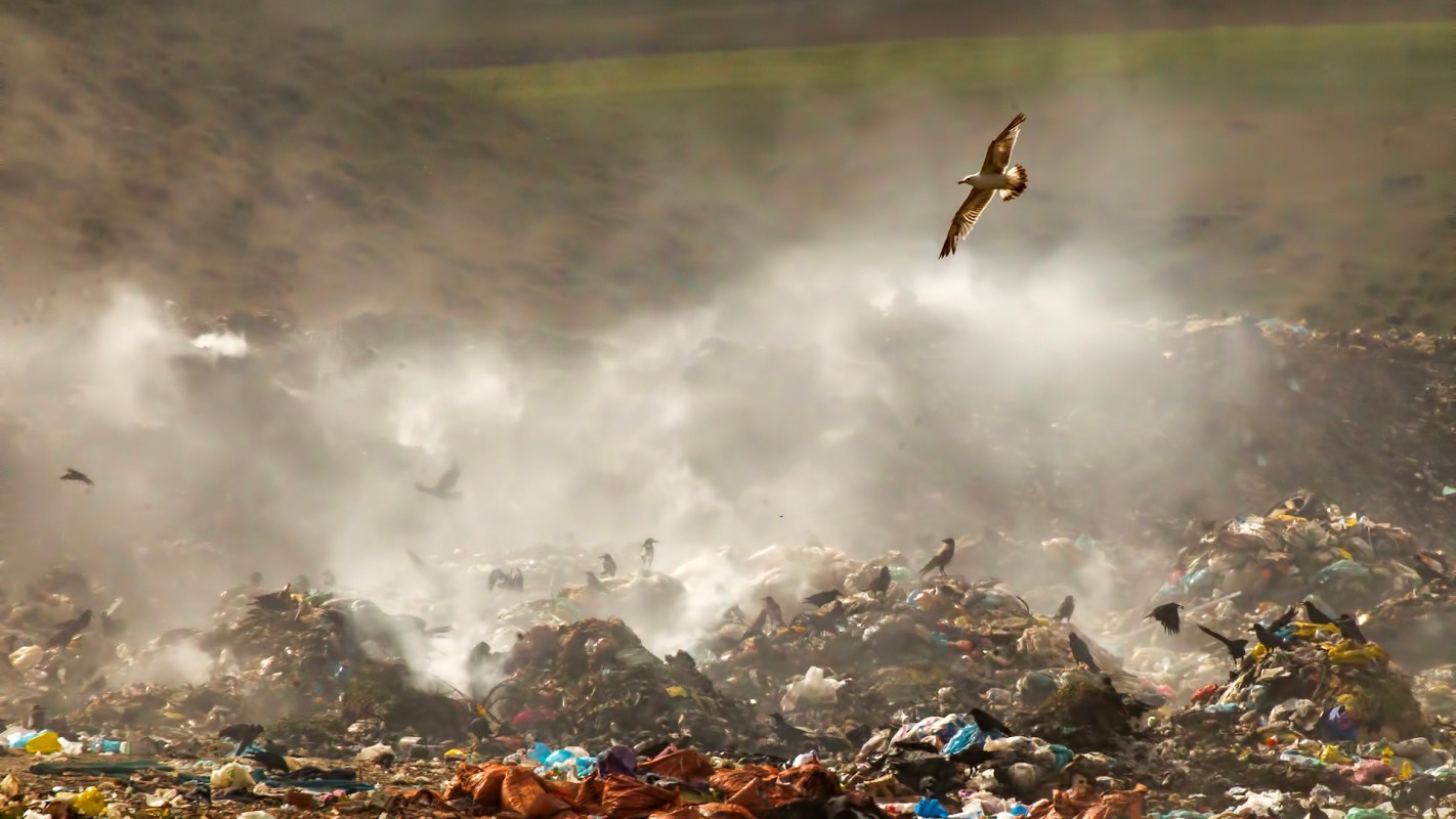 A recent study identified Wisconsin's food waste problem and the obstacles the state will need to overcome to reach its 2050 waste reduction goal.