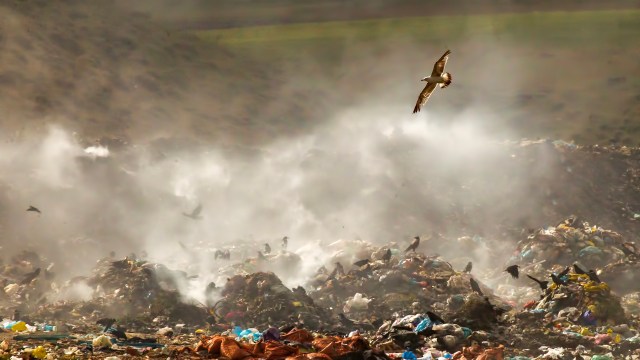 A recent study identified Wisconsin's food waste problem and the obstacles the state will need to overcome to reach its 2050 waste reduction goal.