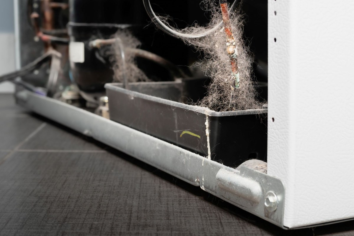 One Reddit user found out how important it is to clean one's refrigerator condenser coils.