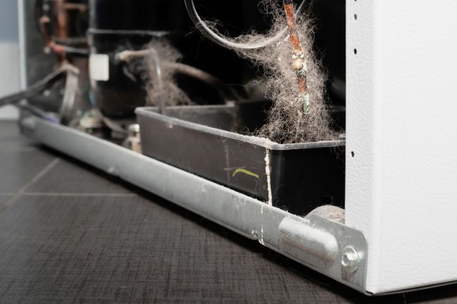 One Reddit user found out how important it is to clean one's refrigerator condenser coils.