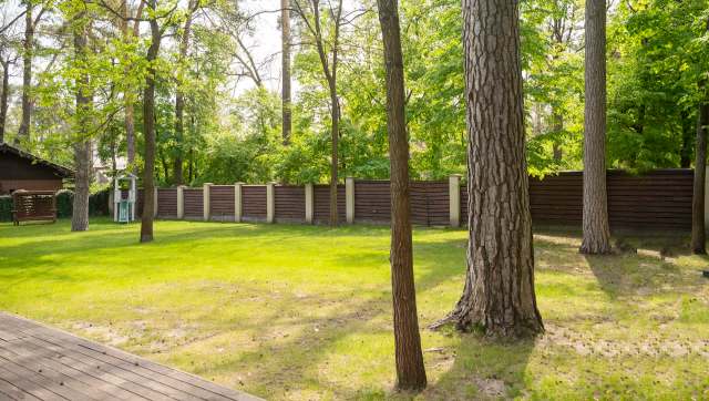 One homeschool teacher helped her students make a frog hotel, and now it's taken off among parents with young children.