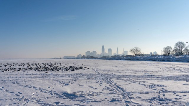 For the first time in more than two decades, Lake Erie is nearly completely frozen, leading to several impactful side effects for surrounding communities.