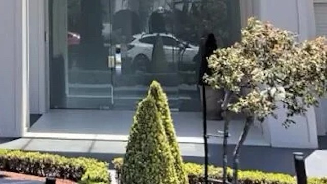 An Australian shared their experience of the smell of a plastic palm tree in their neighbor's yard on the r/Landscaping subreddit.