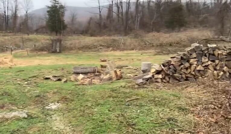 One savvy homeowner transformed their garden into a fairy-tale paradise — here's how you can do it too.