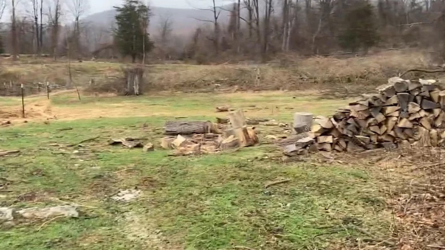 One savvy homeowner showcased the transformation of their garden into a fairy-tale paradise — here's how you can do it too.