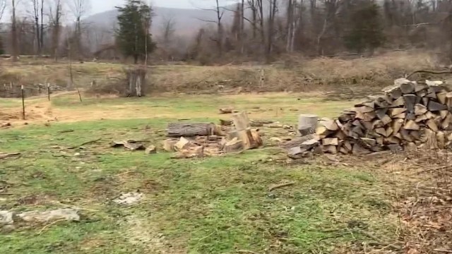 One savvy homeowner showcased the transformation of their garden into a fairy-tale paradise — here's how you can do it too.