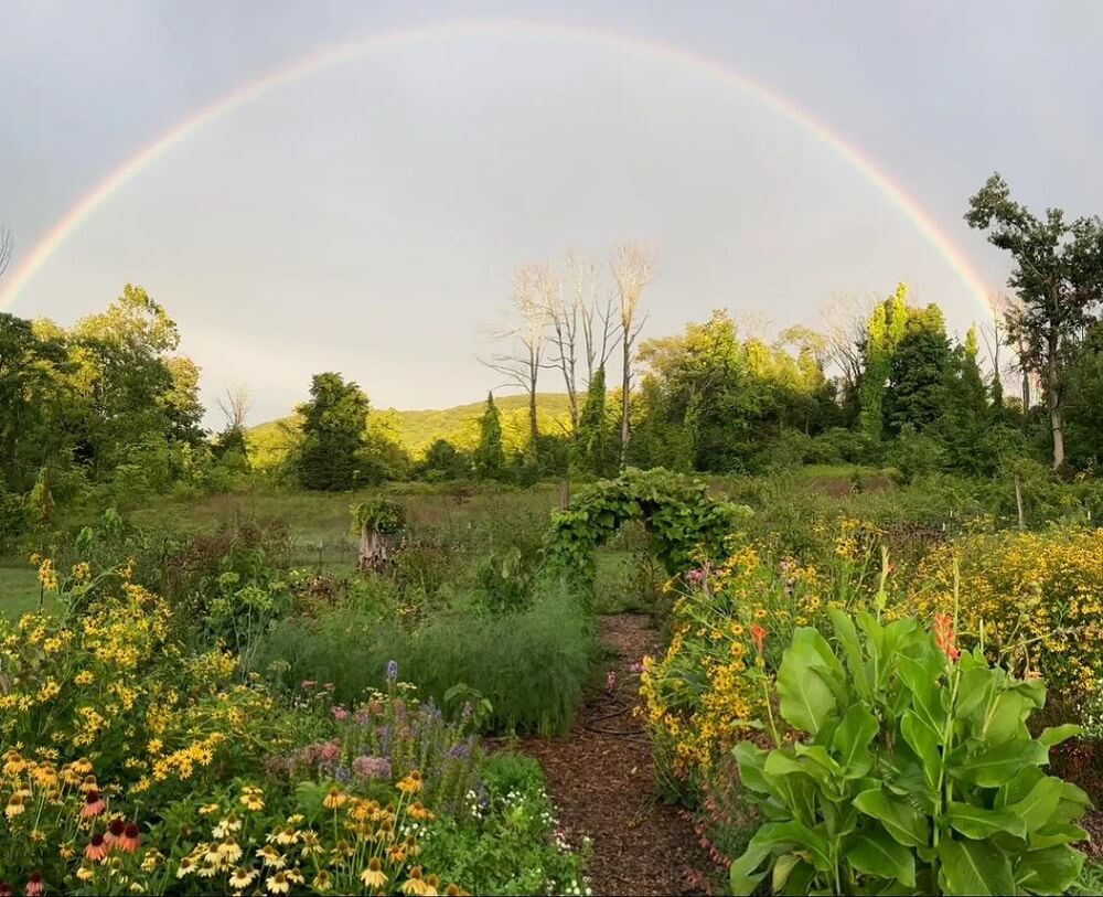 One savvy homeowner transformed their garden into a fairy-tale paradise — here's how you can do it too.