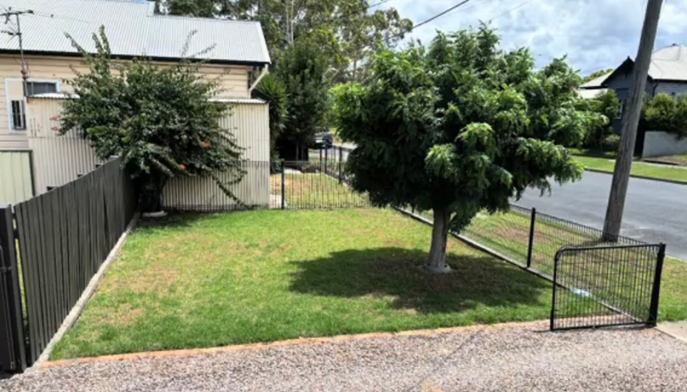 A TikToker transformed a drab yard into a pollinator-friendly garden, and the results are incredible.